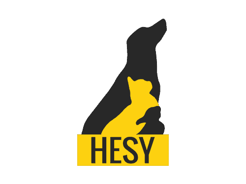 Logo HESY ry