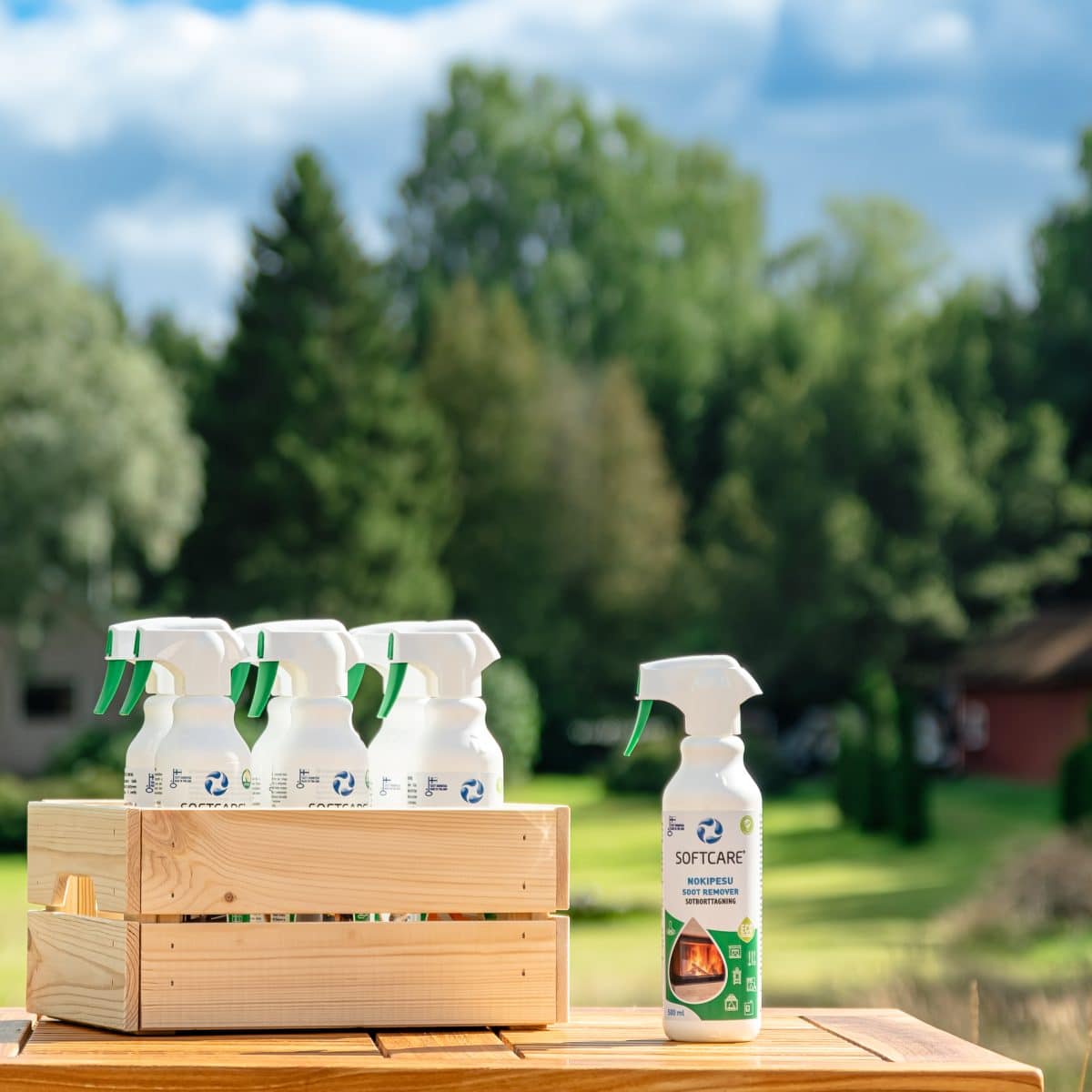 Cleaning products on the table outdoors