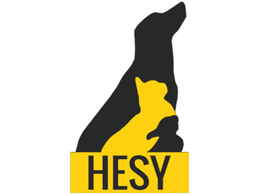 Logo HESY