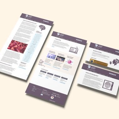 Mockup of Responsive Modern WordPress Web Pages