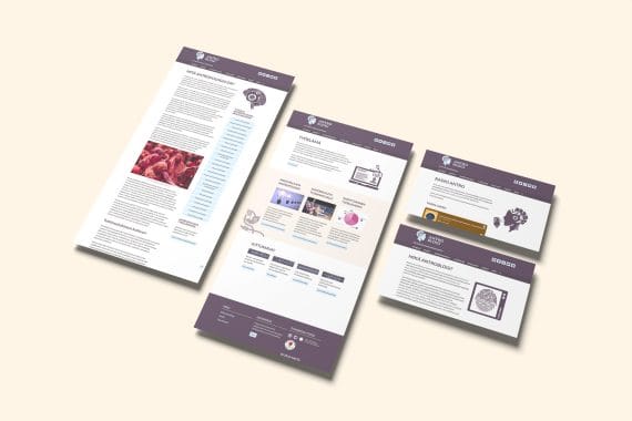 Mockup of Responsive Modern WordPress Web Pages